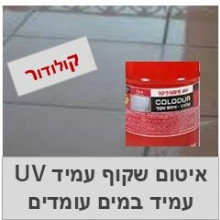 קולודור איטום שקוף 